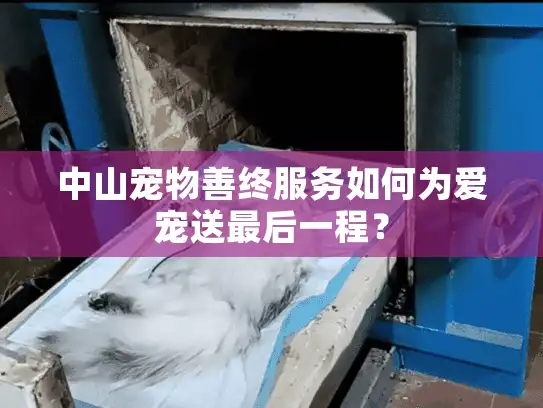 中山宠物善终服务如何为爱宠送最后一程？