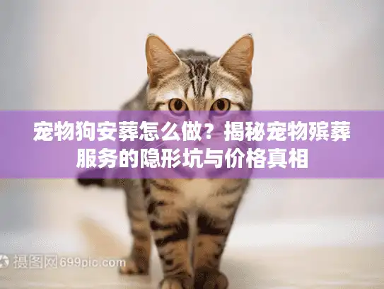 宠物狗安葬怎么做？揭秘宠物殡葬服务的隐形坑与价格真相