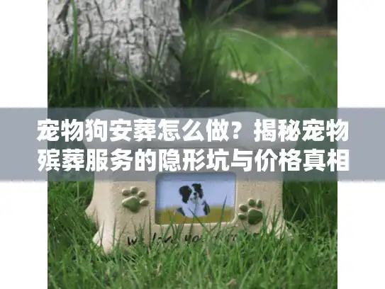 宠物狗安葬怎么做？揭秘宠物殡葬服务的隐形坑与价格真相