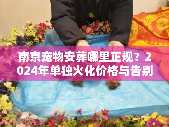 南京宠物安葬哪里正规？2024年单独火化价格与告别仪式避坑