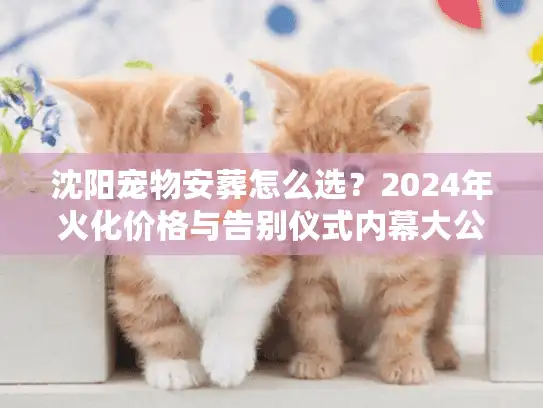 沈阳宠物安葬怎么选？2024年火化价格与告别仪式内幕大公开