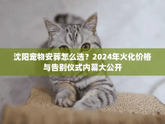 沈阳宠物安葬怎么选？2024年火化价格与告别仪式内幕大公开