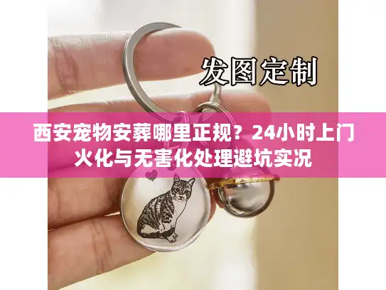西安宠物安葬哪里正规？24小时上门火化与无害化处理避坑实况