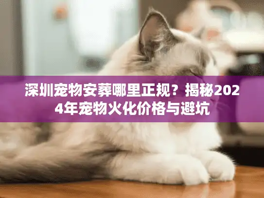 深圳宠物安葬哪里正规？揭秘2024年宠物火化价格与避坑