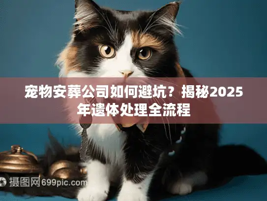 宠物安葬公司如何避坑？揭秘2025年遗体处理全流程