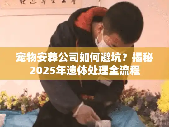 宠物安葬公司如何避坑？揭秘2025年遗体处理全流程