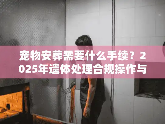 宠物安葬需要什么手续？2025年遗体处理合规操作与法律红线
