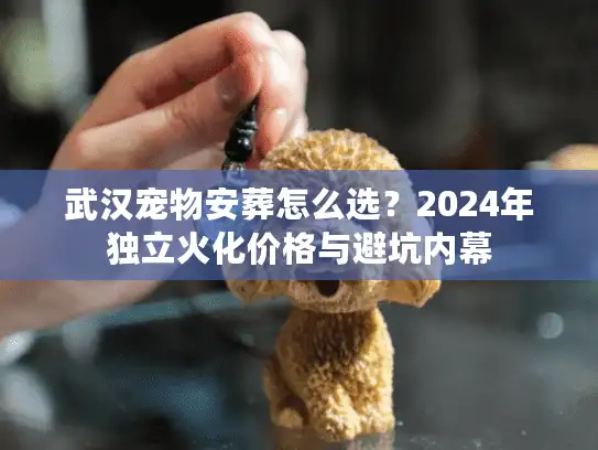 武汉宠物安葬怎么选？2024年独立火化价格与避坑内幕