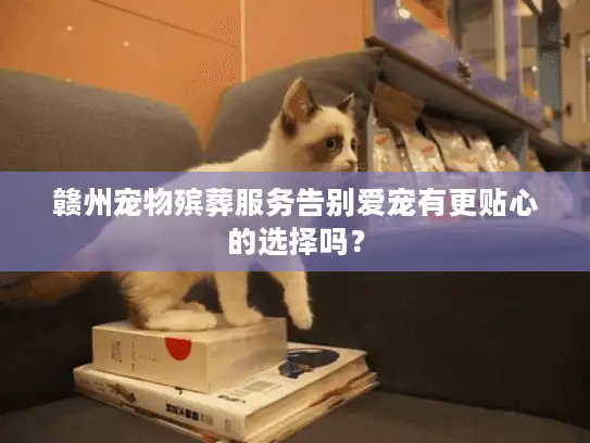 赣州宠物殡葬服务告别爱宠有更贴心的选择吗？