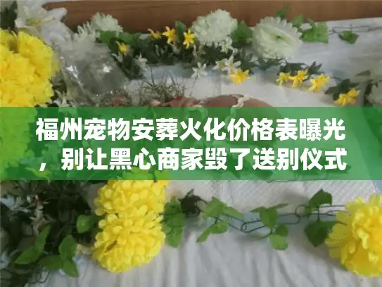 福州宠物安葬火化价格表曝光，别让黑心商家毁了送别仪式