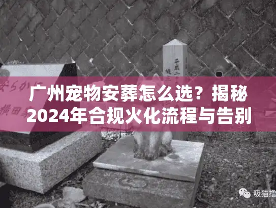 广州宠物安葬怎么选？揭秘2024年合规火化流程与告别仪式避坑细节