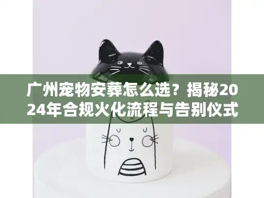 广州宠物安葬怎么选？揭秘2024年合规火化流程与告别仪式避坑细节