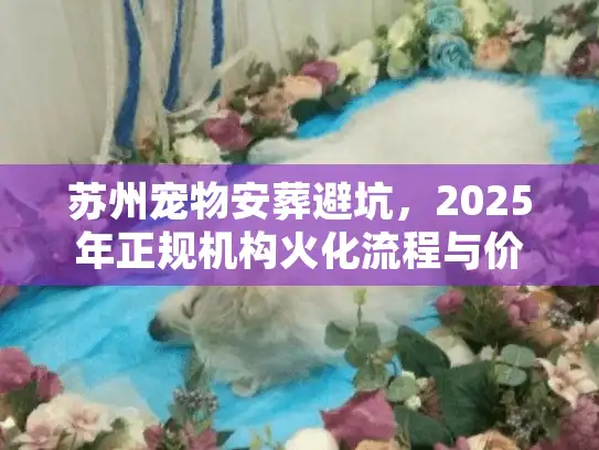 苏州宠物安葬避坑，2025年正规机构火化流程与价格全解