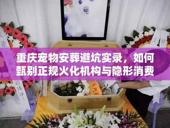 重庆宠物安葬避坑实录，如何甄别正规火化机构与隐形消费？