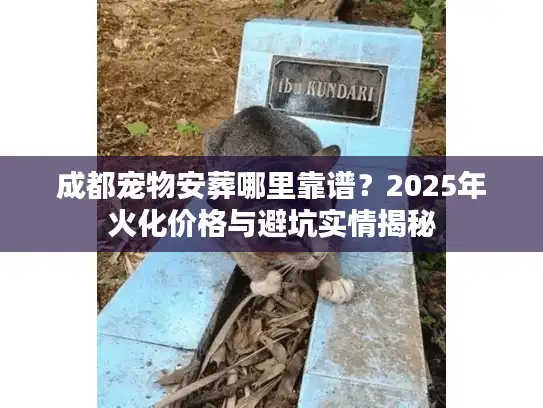 成都宠物安葬哪里靠谱？2025年火化价格与避坑实情揭秘