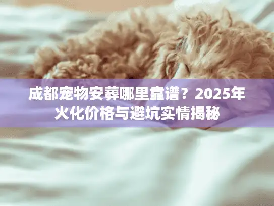成都宠物安葬哪里靠谱？2025年火化价格与避坑实情揭秘