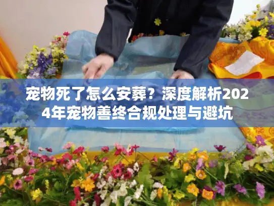 宠物死了怎么安葬？深度解析2024年宠物善终合规处理与避坑