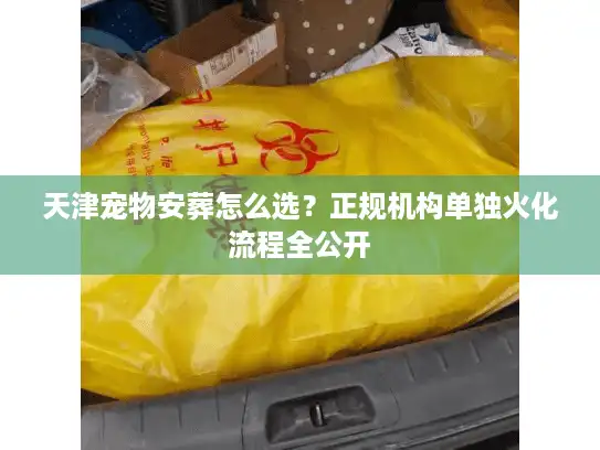 天津宠物安葬怎么选？正规机构单独火化流程全公开