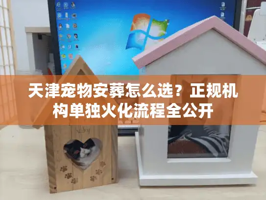 天津宠物安葬怎么选？正规机构单独火化流程全公开