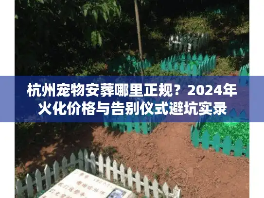 杭州宠物安葬哪里正规？2024年火化价格与告别仪式避坑实录