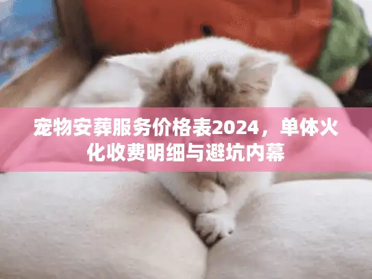 宠物安葬服务价格表2024，单体火化收费明细与避坑内幕