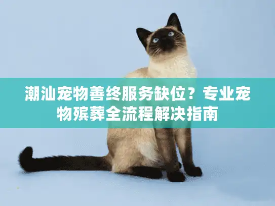 潮汕宠物善终服务缺位？专业宠物殡葬全流程解决指南