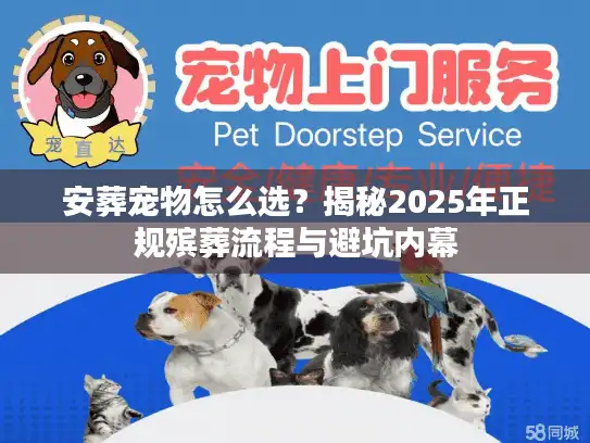 安葬宠物怎么选？揭秘2025年正规殡葬流程与避坑内幕