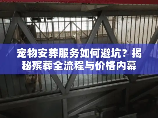 宠物安葬服务如何避坑？揭秘殡葬全流程与价格内幕