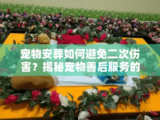 宠物安葬如何避免二次伤害？揭秘宠物善后服务的隐形坑