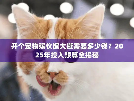 开个宠物殡仪馆大概需要多少钱？2025年投入预算全揭秘