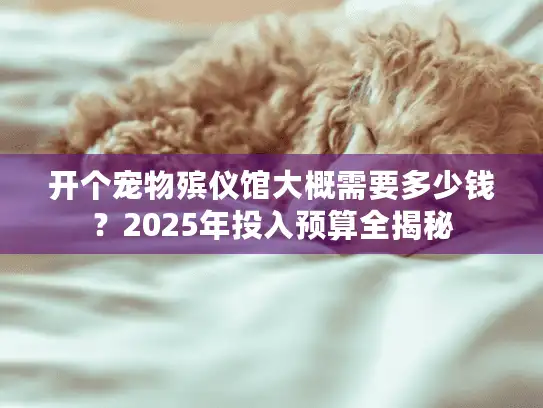 开个宠物殡仪馆大概需要多少钱？2025年投入预算全揭秘