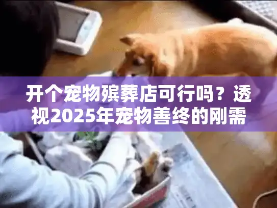 开个宠物殡葬店可行吗？透视2025年宠物善终的刚需变现