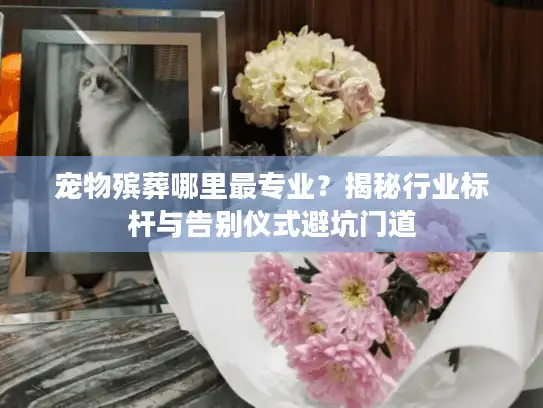 宠物殡葬哪里最专业？揭秘行业标杆与告别仪式避坑门道
