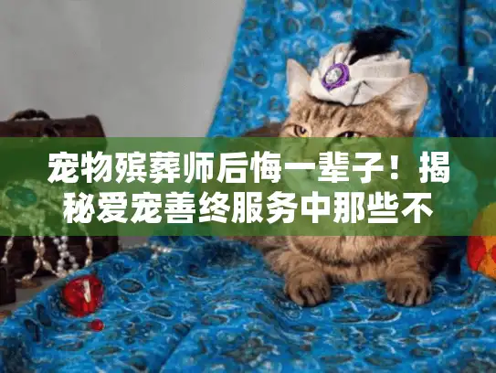 宠物殡葬师后悔一辈子！揭秘爱宠善终服务中那些不为人知的避坑真相
