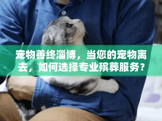 宠物善终淄博，当您的宠物离去，如何选择专业殡葬服务？