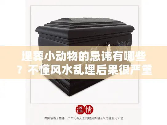 埋葬小动物的忌讳有哪些？不懂风水乱埋后果很严重