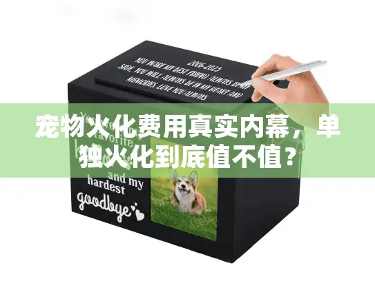 宠物火化费用真实内幕，单独火化到底值不值？