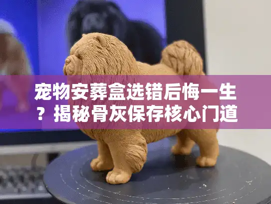 宠物安葬盒选错后悔一生？揭秘骨灰保存核心门道