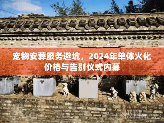 宠物安葬服务避坑，2024年单体火化价格与告别仪式内幕
