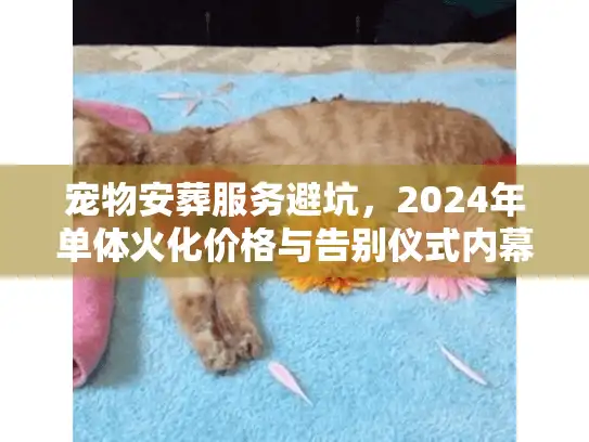 宠物安葬服务避坑，2024年单体火化价格与告别仪式内幕