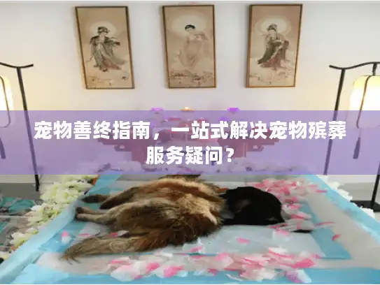 宠物善终指南，一站式解决宠物殡葬服务疑问？
