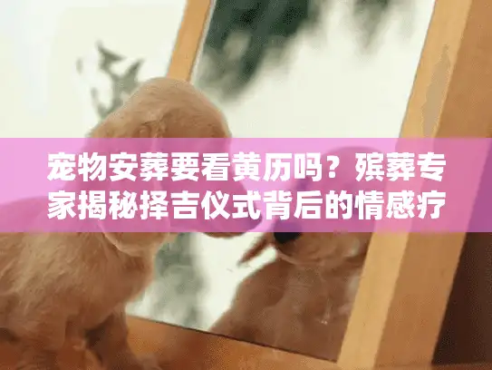 宠物安葬要看黄历吗？殡葬专家揭秘择吉仪式背后的情感疗愈