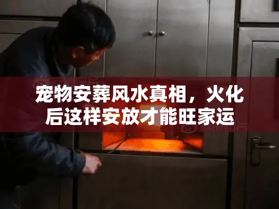 宠物安葬风水真相，火化后这样安放才能旺家运