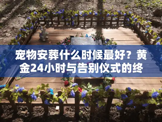 宠物安葬什么时候最好？黄金24小时与告别仪式的终极抉择