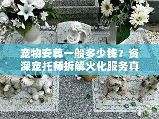 宠物安葬一般多少钱？资深宠托师拆解火化服务真实底价