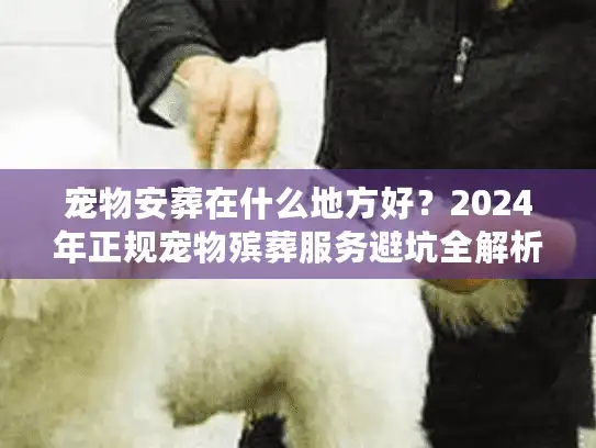 宠物安葬在什么地方好？2024年正规宠物殡葬服务避坑全解析