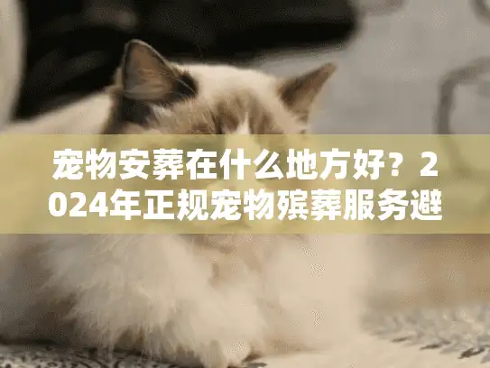 宠物安葬在什么地方好？2024年正规宠物殡葬服务避坑全解析