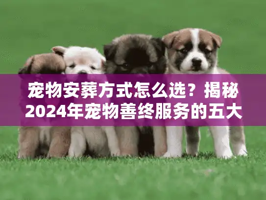 宠物安葬方式怎么选？揭秘2024年宠物善终服务的五大避坑门道