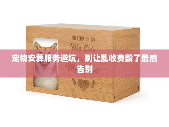宠物安葬服务避坑，别让乱收费毁了最后告别