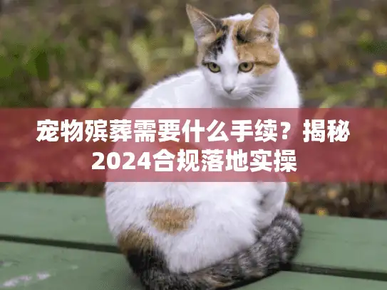 宠物殡葬需要什么手续？揭秘2024合规落地实操